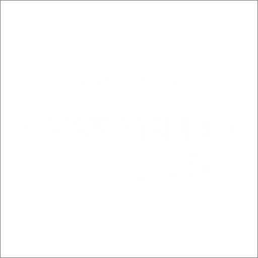 Hartmann Logo